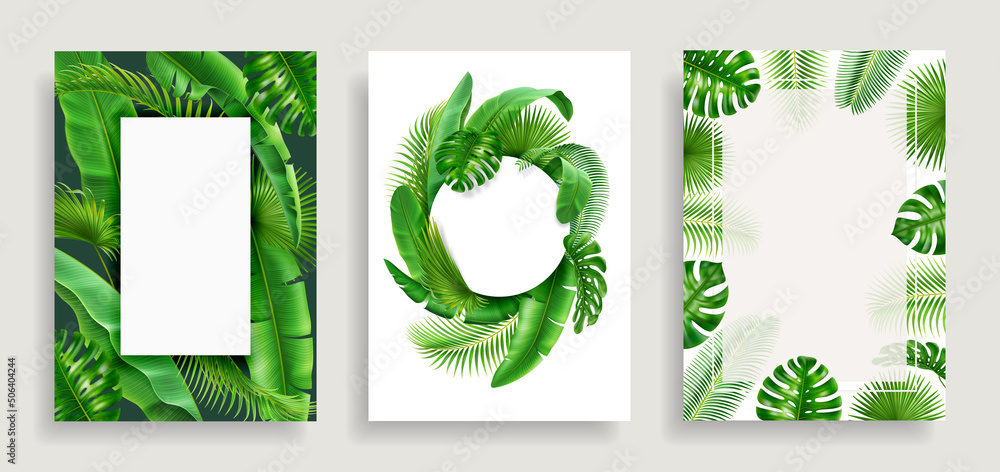 用热带3D逼真的树叶、框架设计元素设置海报。矢量边框和备用pla