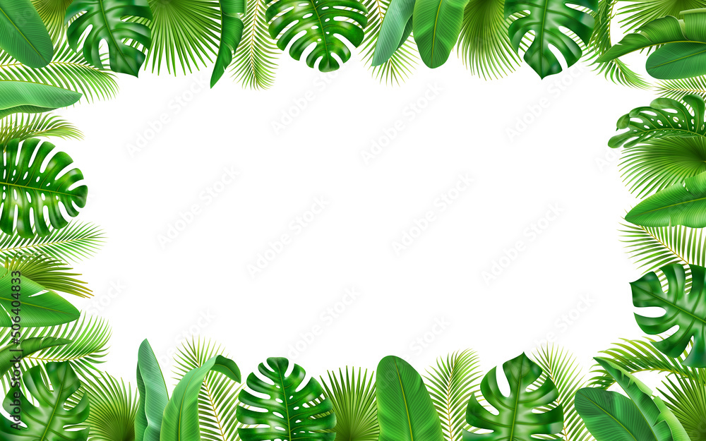 热带3D逼真树叶海报，夏季绿色背景。矢量边界机智