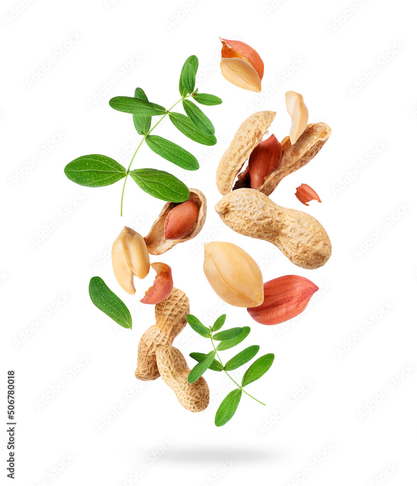 Crushed peanuts with leaves in the air isolated on a white background