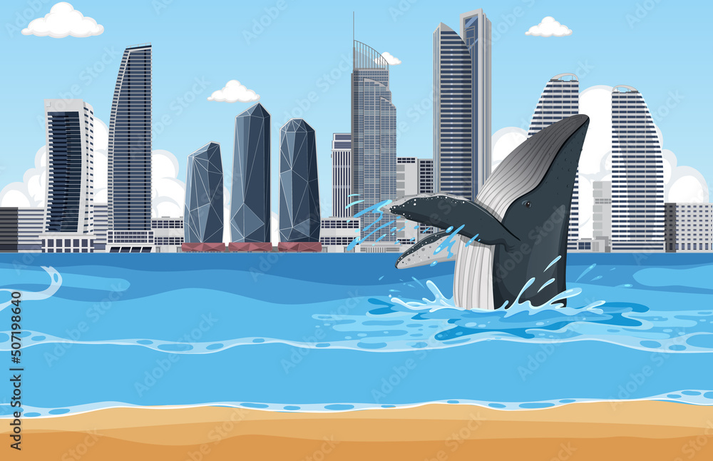 Humpback whale in the city