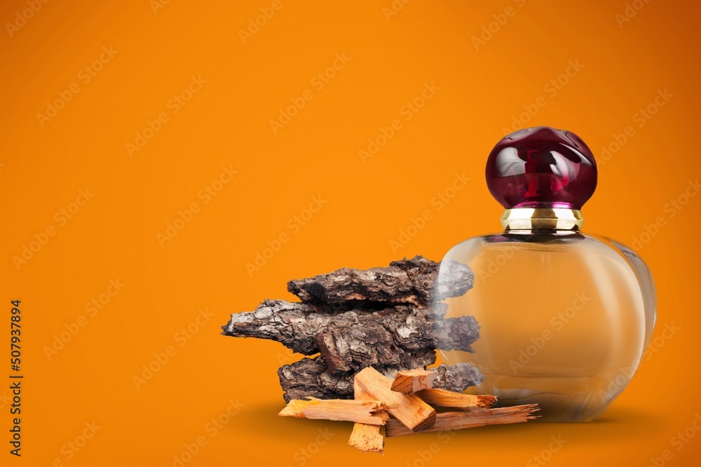 黑色香水瓶，有木头和苔藓。天然香水，男士香水中的木质香味。
