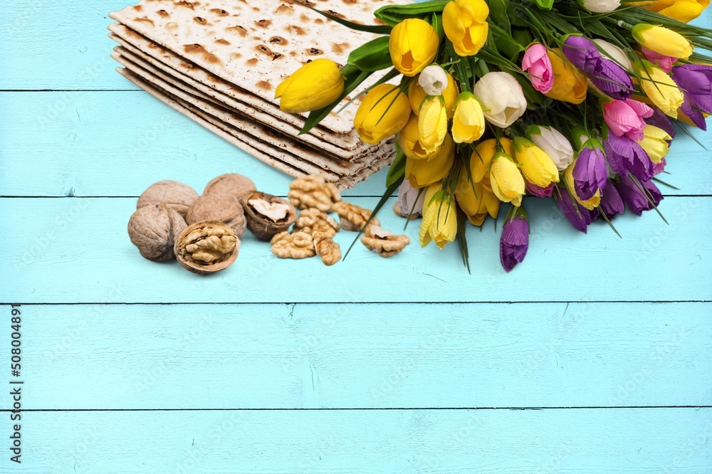 犹太节日。蓝色桌子上有郁金香花的Matzah。背景，俯视图，复制空间。