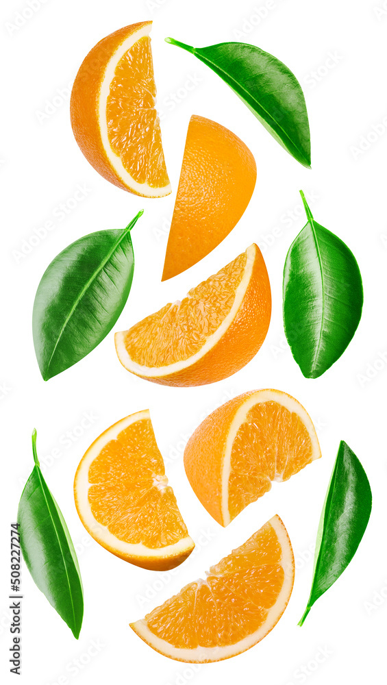 收集白色背景下分离的橙色切片。用叶子品尝橙色。全景深w