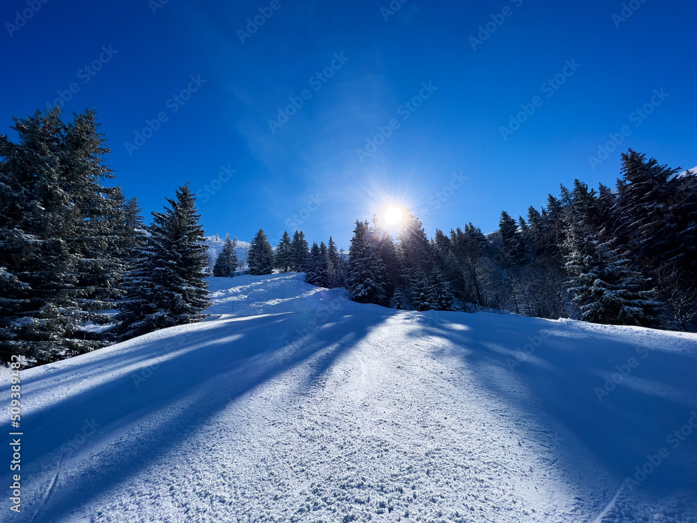 高山度假胜地森林中的滑雪道，阳光照在树上