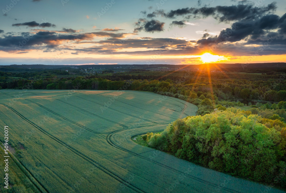 Idyllic sunset over the wheat field in Poland