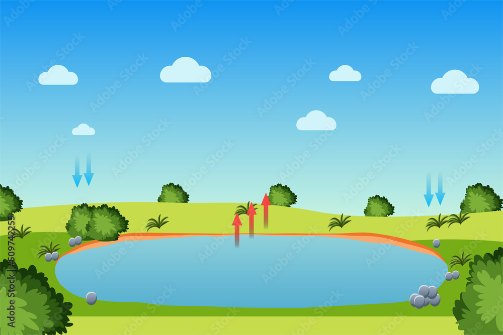 池塘和蓝天的水循环过程。蒸发、冷凝和降水过程i