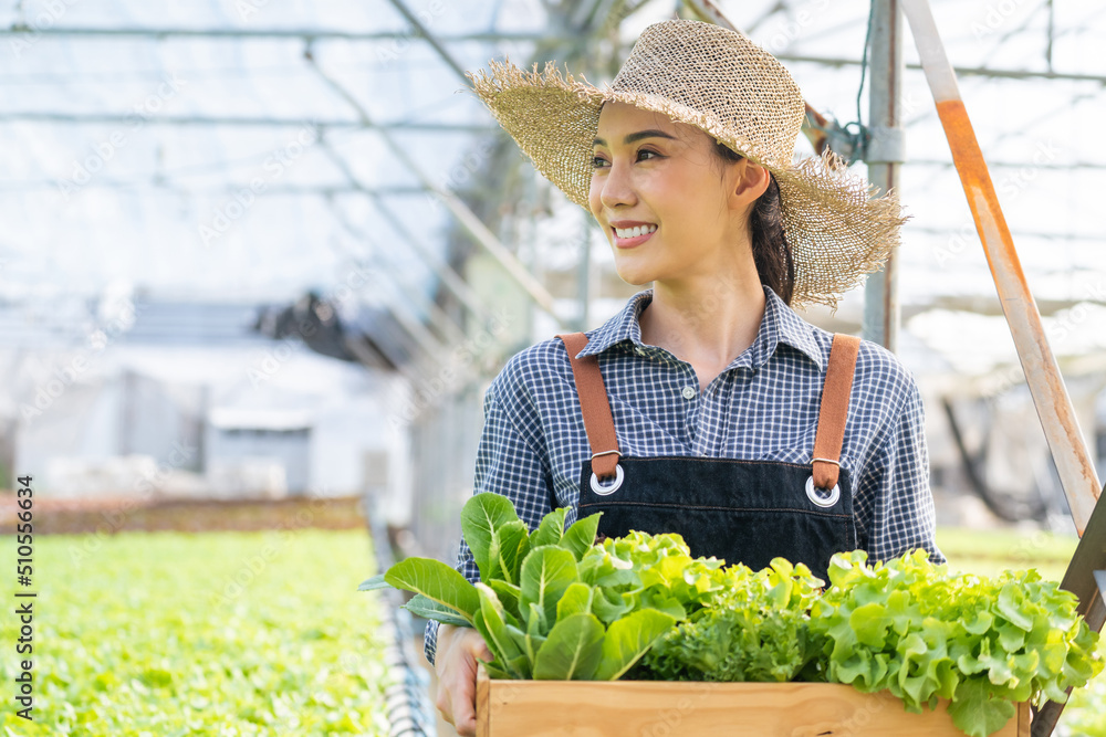 亚洲美女农民在蔬菜水培绿色农场工作。