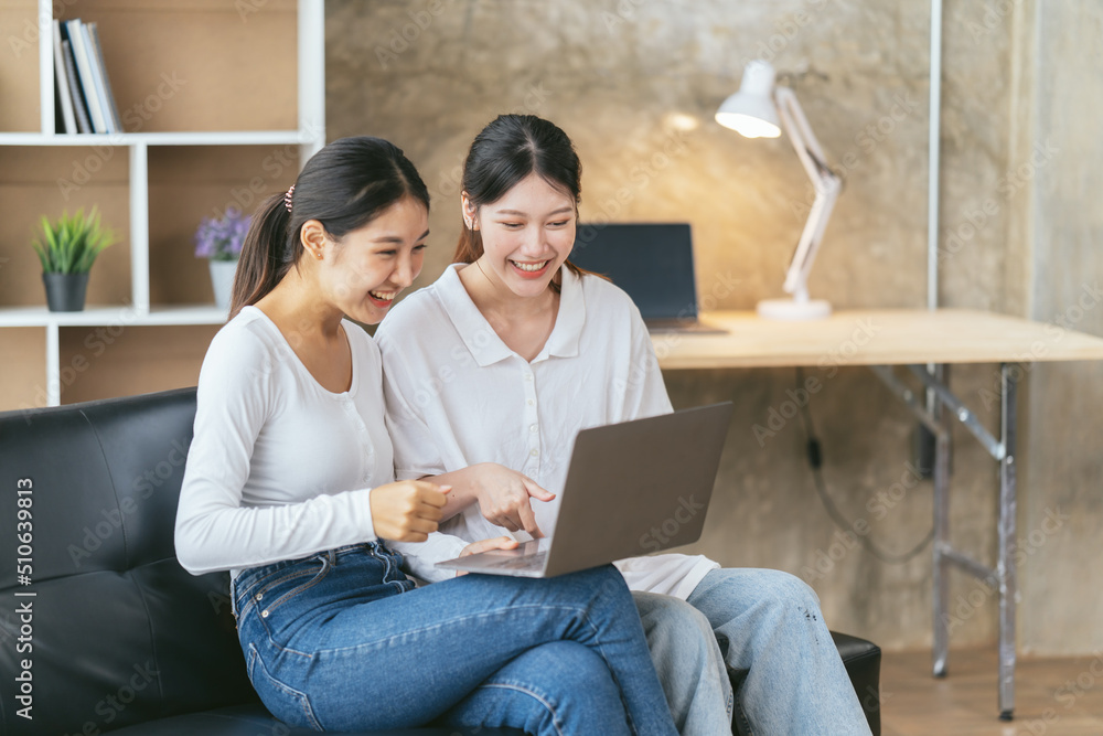两个年轻的女性朋友一起在笔记本电脑上上网，视频会议，在家工作