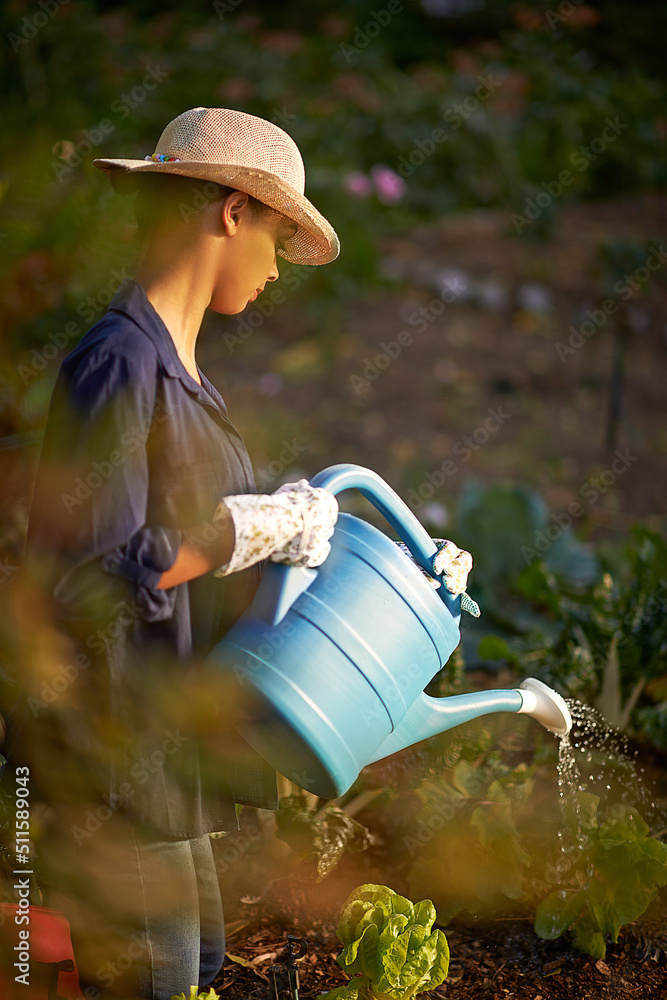 滋养她的花园。一个年轻女人给她的花园浇水的镜头。