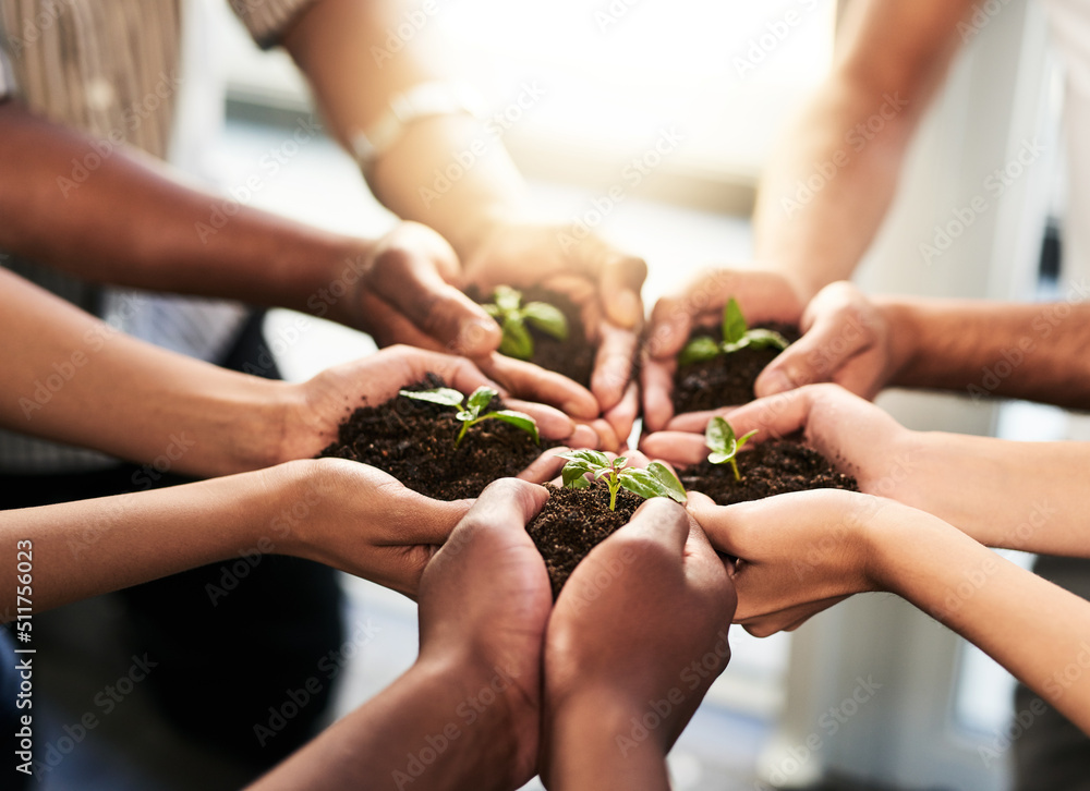 The future is in our hands. Cropped shot of a group of unrecognizable people holding plants growing 