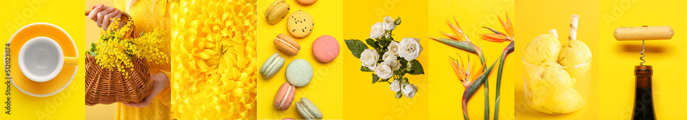Creative collage of different photos on yellow background