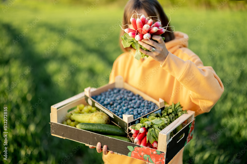 妇女在农田里拿着装有新鲜多汁浆果、水果和蔬菜的盒子。健康的概念