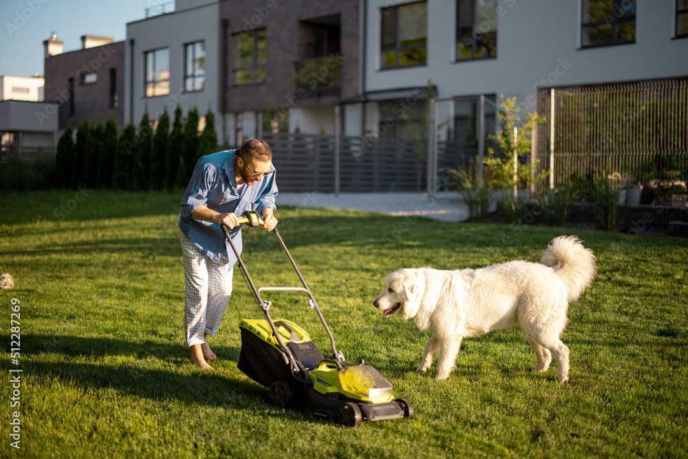 Man plays with a dog while moving lawn with a lawn mower at backyard of country house. Husband spend