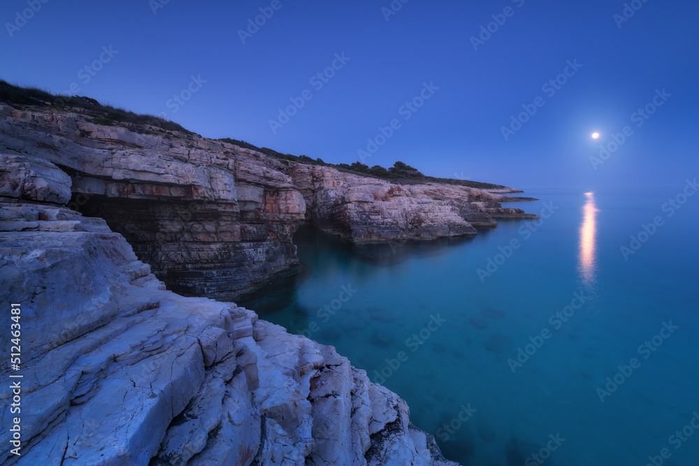 岩石海岸，夏季夜晚满月。海滩、悬崖、石头的美丽景观