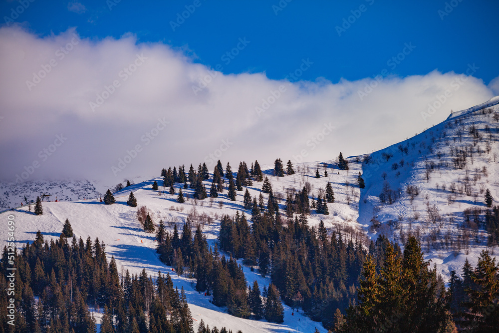 阿尔卑斯山积雪覆盖的山丘上的阿尔卑斯滑雪道