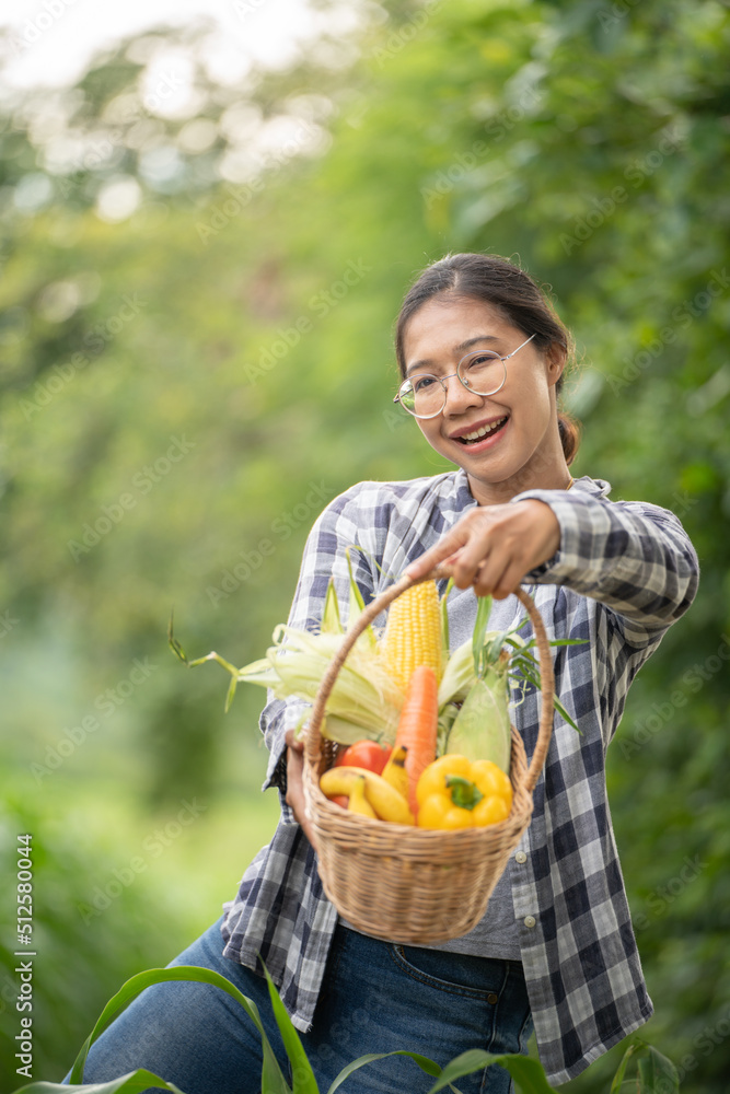 美丽的年轻深色头发肖像名人女人在绿色的竹篮里手捧蔬菜