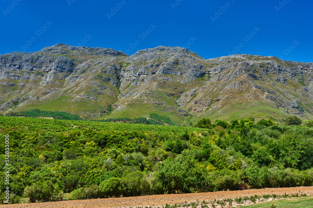 南非斯泰伦博斯葡萄园耕地附近郁郁葱葱的山脉