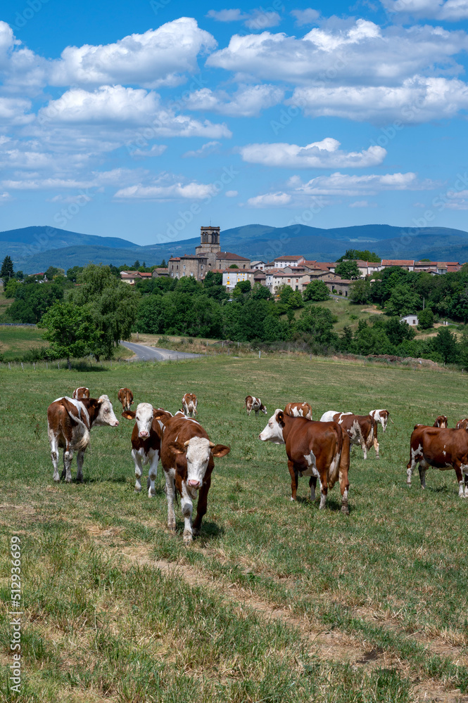 Paysage pittoresque et rural des montagnes dAuvergne dans le département du Puy-de-Dôme au printemp