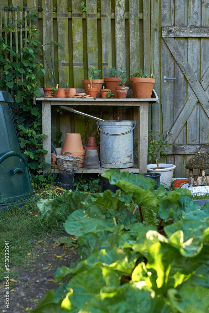 在苏家一个隐蔽的私人后院里园艺和种植新鲜的香草和蔬菜