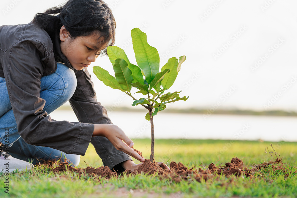 孩子们在日落中种植小树。概念拯救地球