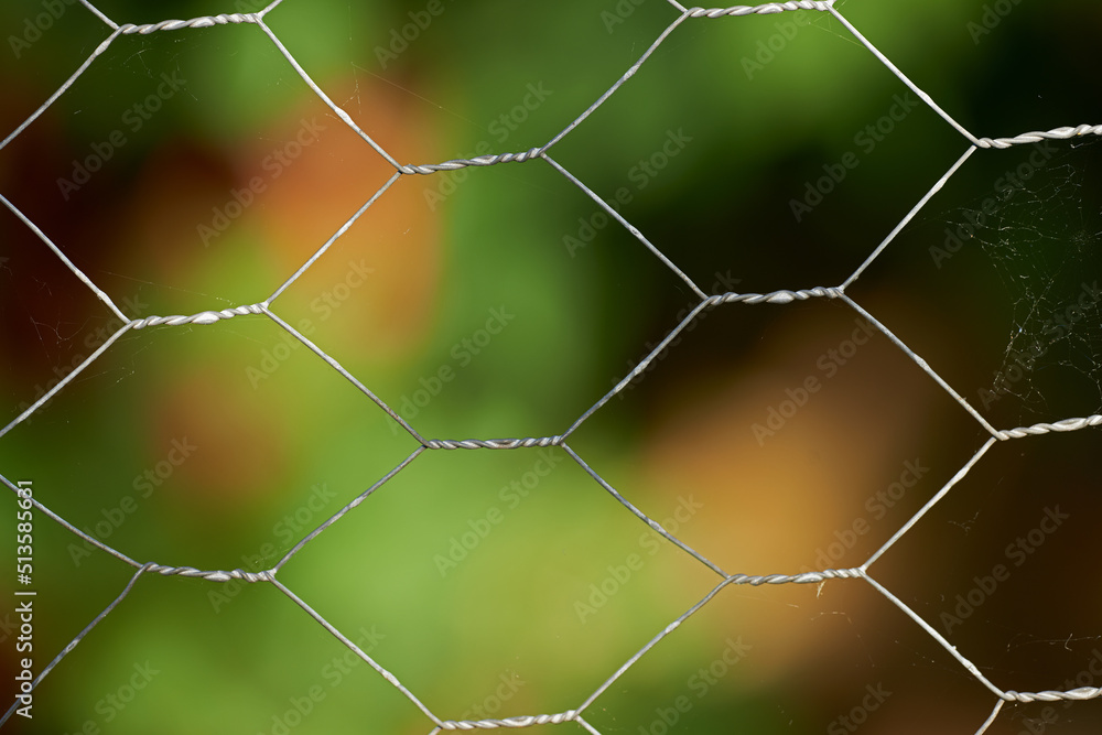背景是模糊花园的网状金属围栏的特写。周围的钢铁门的细节