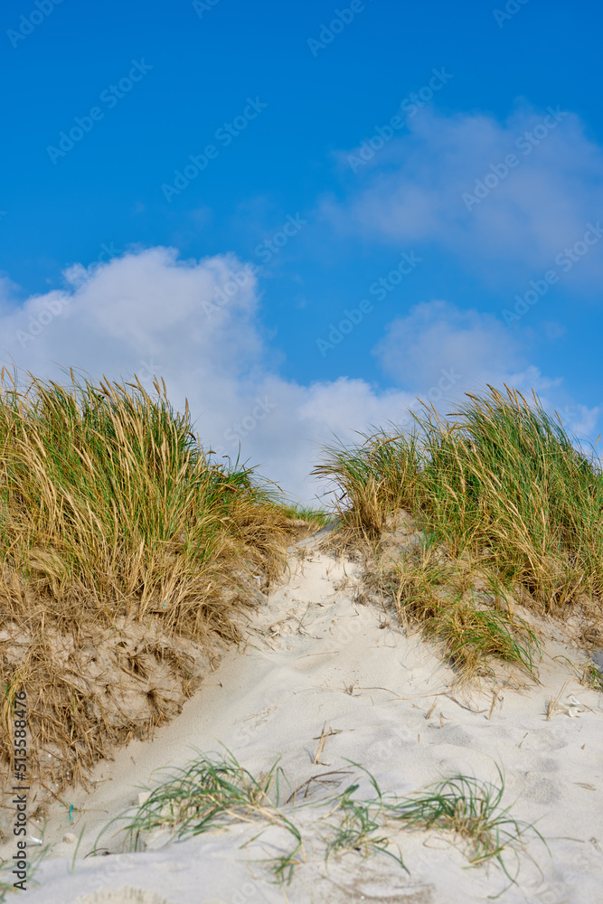 多云蓝天下沙丘的景观复制了德州洛肯日德兰半岛西海岸的空间