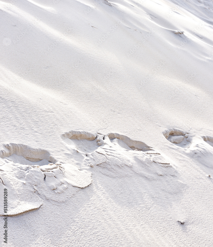丹麦洛肯日德兰半岛西海岸沙丘上的脚印景观。s特写