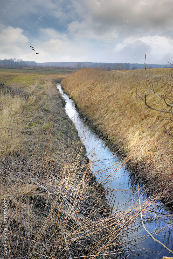 在丹麦日德兰，排水不良的土壤上，一条流经潮湿农场的溪流旁的版权空间，