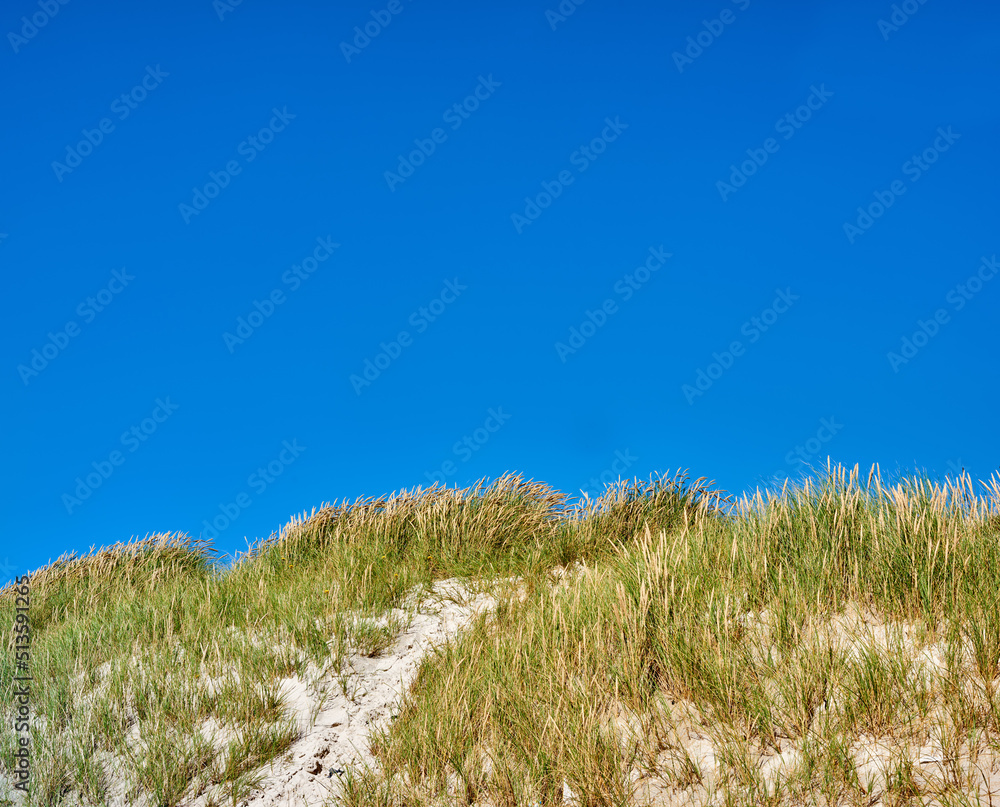 丹麦洛肯日德兰半岛西海岸蓝天下的沙丘景观复制空间。