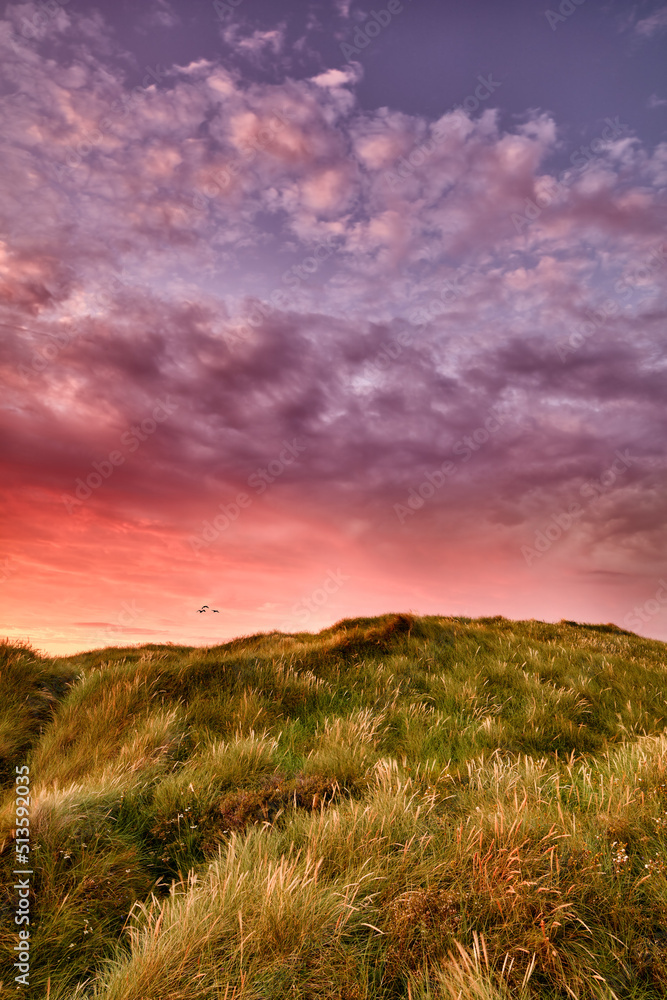丹麦洛肯日德兰半岛西海岸紫色天空和日落的戏剧性复制空间景观。