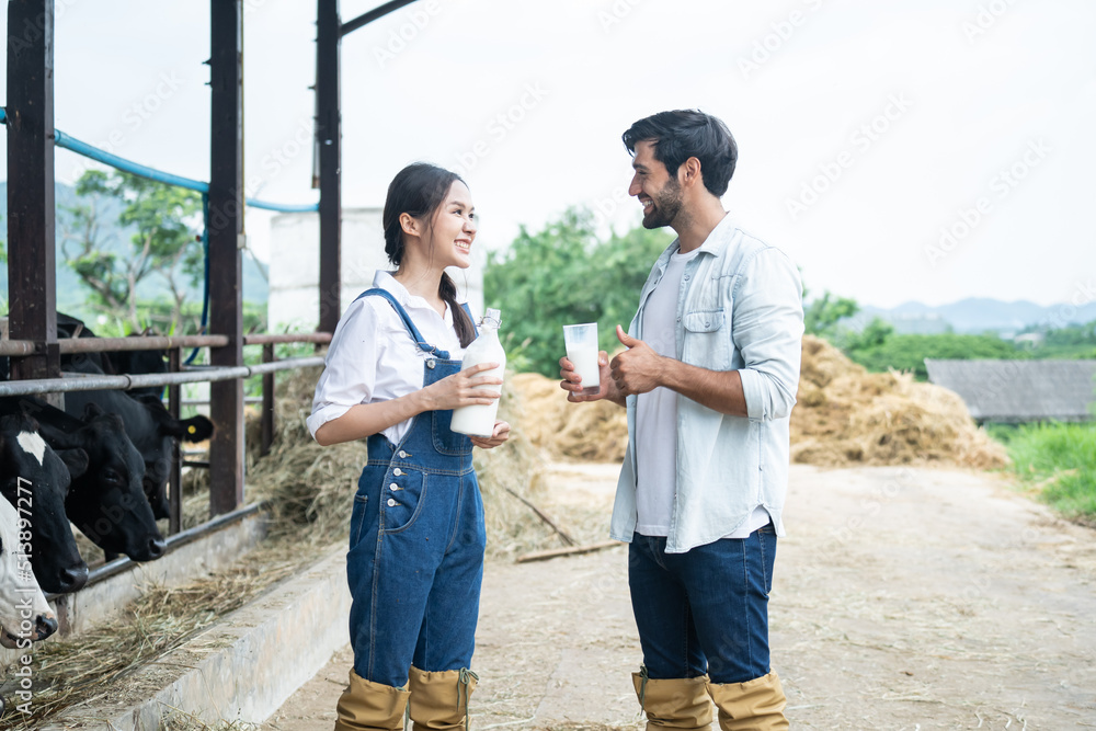 Asian man and woman dairy farmer drink milk at livestock farm industry