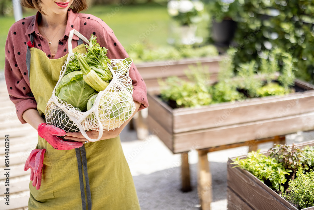 在家里的花园里，女人拿着装满新鲜蔬菜和绿色蔬菜的网袋，裁剪视图。概念