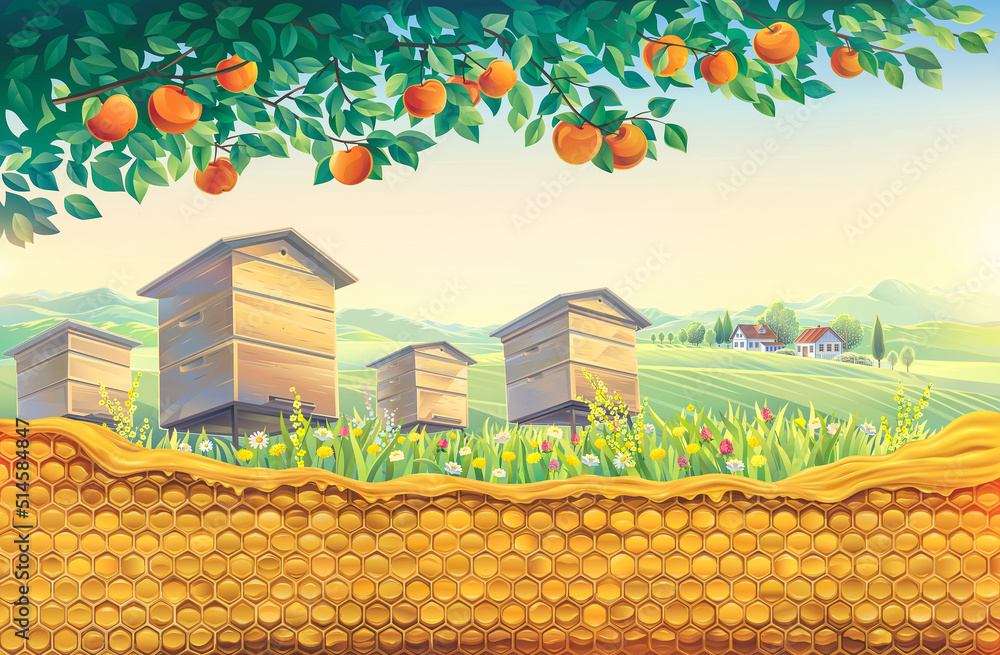 蜜蜂养蜂场，前景是蜂窝，背景是带别墅的乡村景观