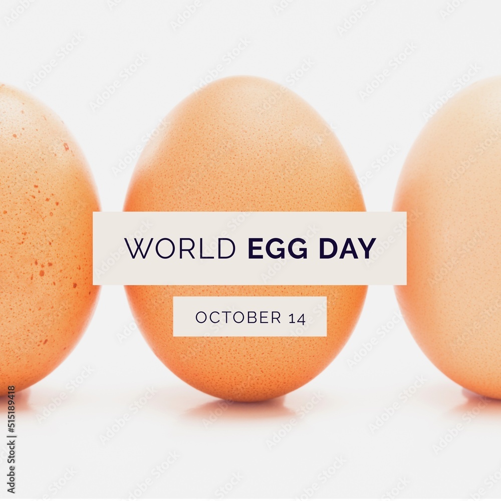 棕色鸡蛋与世界鸡蛋日和10月14日白底文字的组合