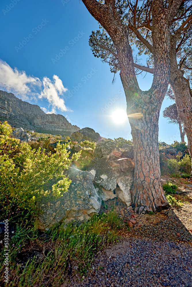 Remote mountain hiking trail on table mountain on a sunny day. Mountainous walking path high above a