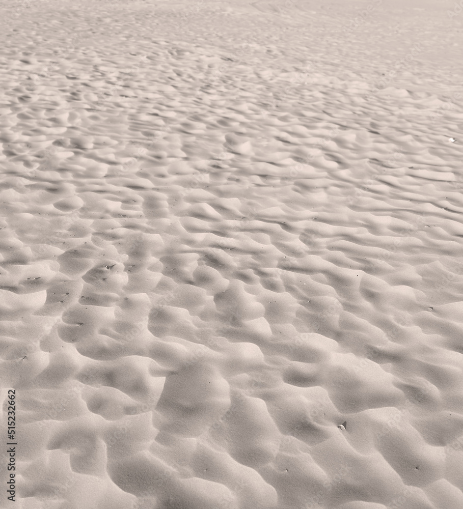 阳光明媚的日子里，沙丘上的沙滩沙在大自然中沿着海岸起伏。sce特写