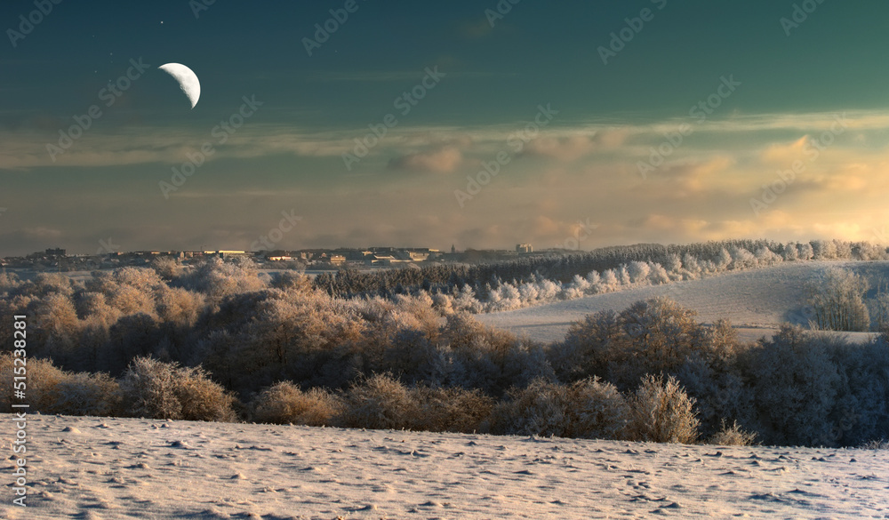 冬季景观中的月亮。一轮半月落在白雪覆盖的灌木丛和灌木上，田野里有一个小h