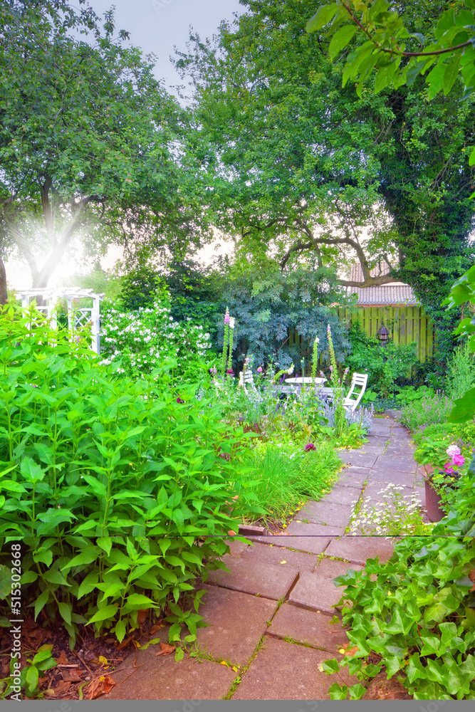 A view of a backyard of a house with the way to the garden. landscape garden flower with plants in a