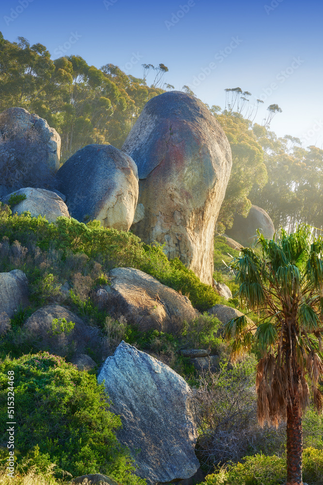 南非热带森林附近，郁郁葱葱的岩石山坡上有巨大的巨石。令人惊叹的自然之地