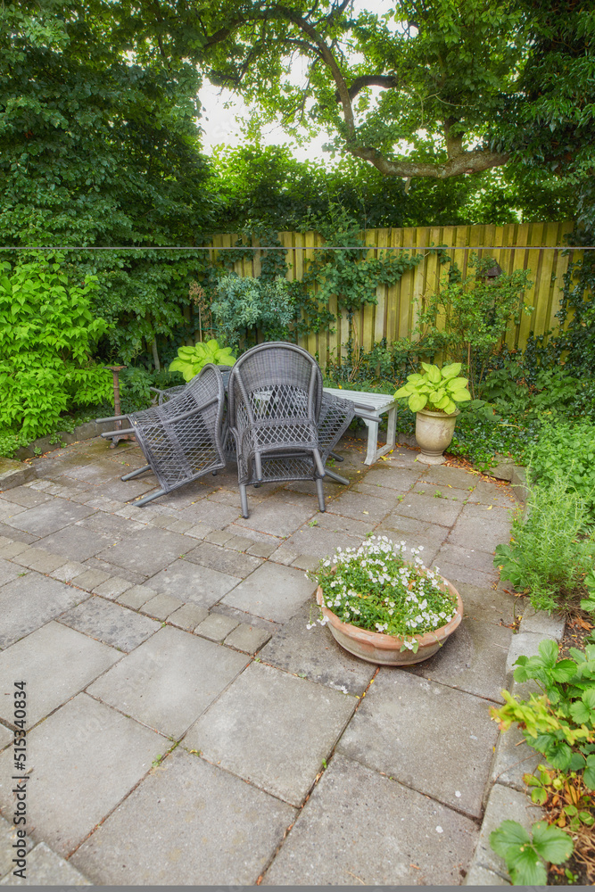 A view of the garden backyard of a house with an artistic chair, wooden bench, and a variety of plan