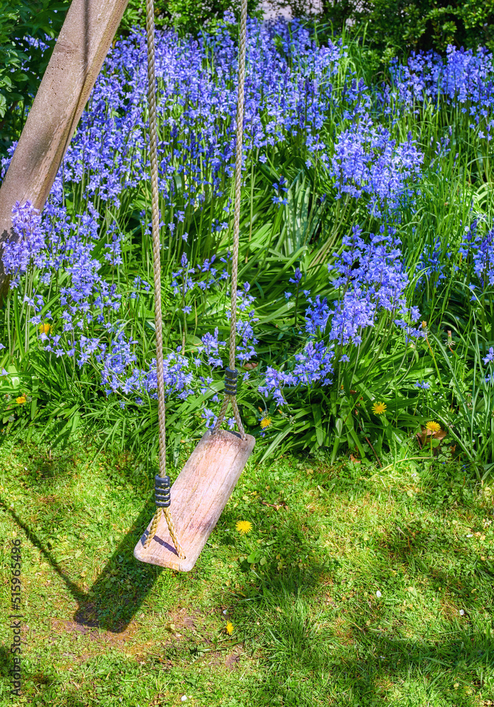 一个木制的空秋千，绿色花园里长着蓝铃花。许多蓝色的花和谐地开着。