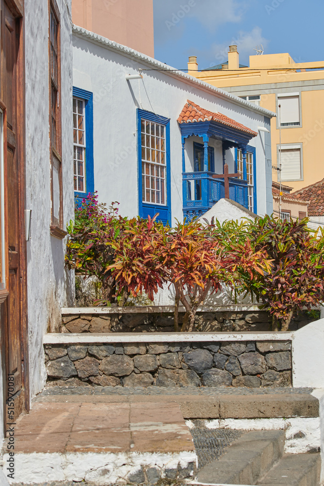 Santa Cruz de La Palma市入口处有花草的经典建筑。古老