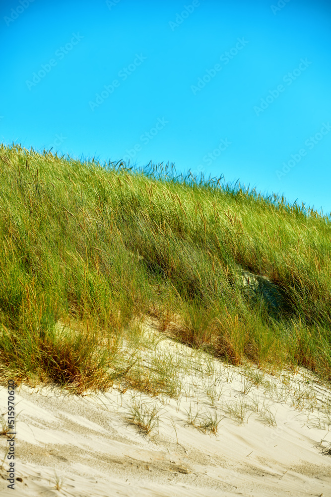 版权空间，蓝天背景下，空旷的海滩或沙丘上长满了草。风景优美的海边