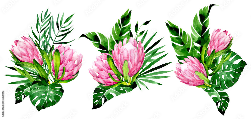 水彩画。一组热带花卉和树叶。粉色变形花和梦蝶