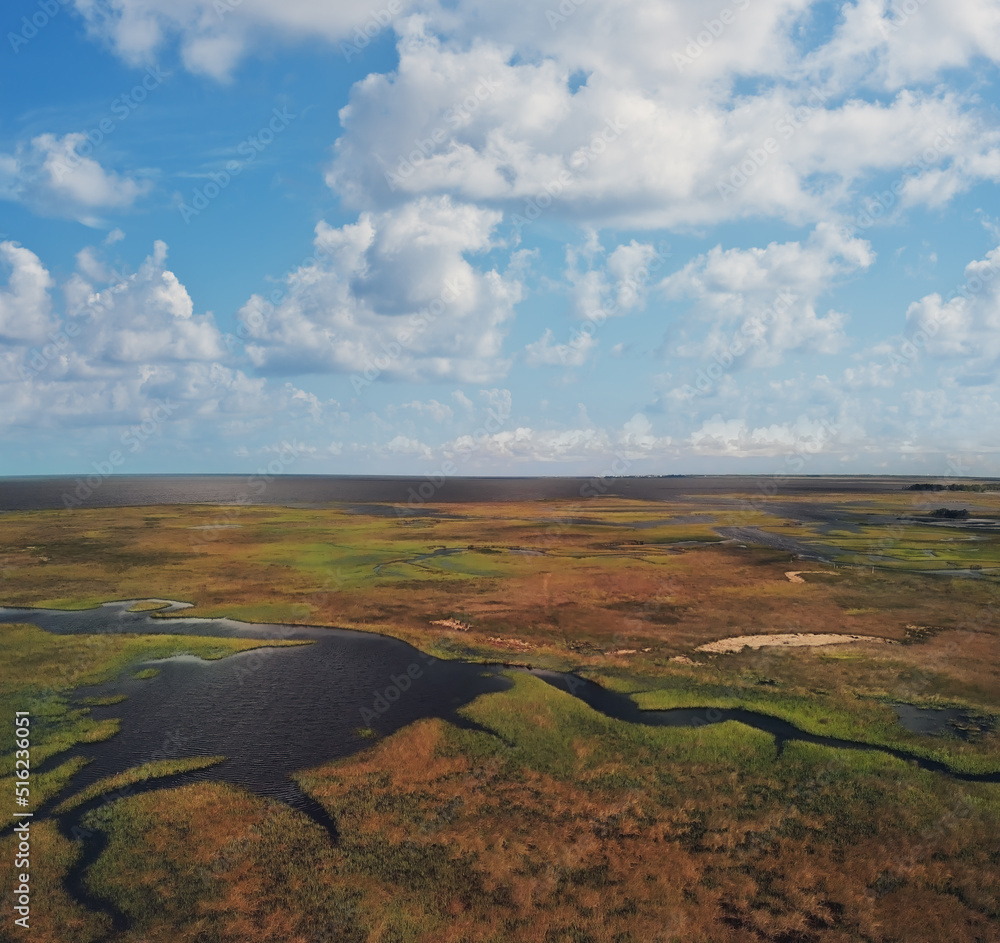 佛罗里达州墨西哥湾附近沼泽的鸟瞰图