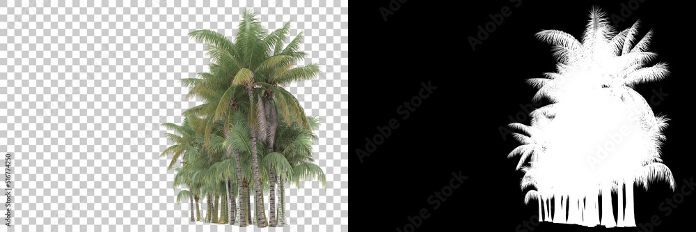 热带树叶与面具隔离在背景上。三维渲染-插图