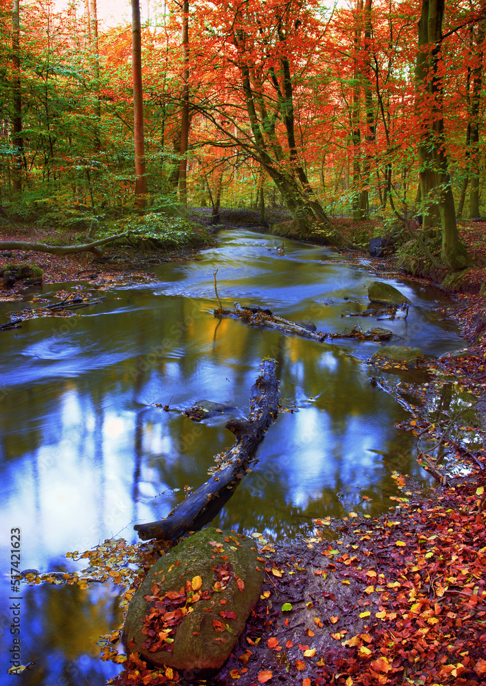 Beautiful and vibrant autumn forest and a stream flowing through it. The landscape of a river in the