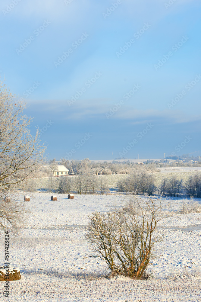 寒冷的冬日，乡村里明亮的白雪景观，有干燥的灌木和蓝天。Fr