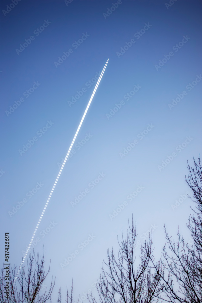 无叶树木上方的喷气式飞机轨迹，背景是晴朗的蓝天，有复制空间。查看