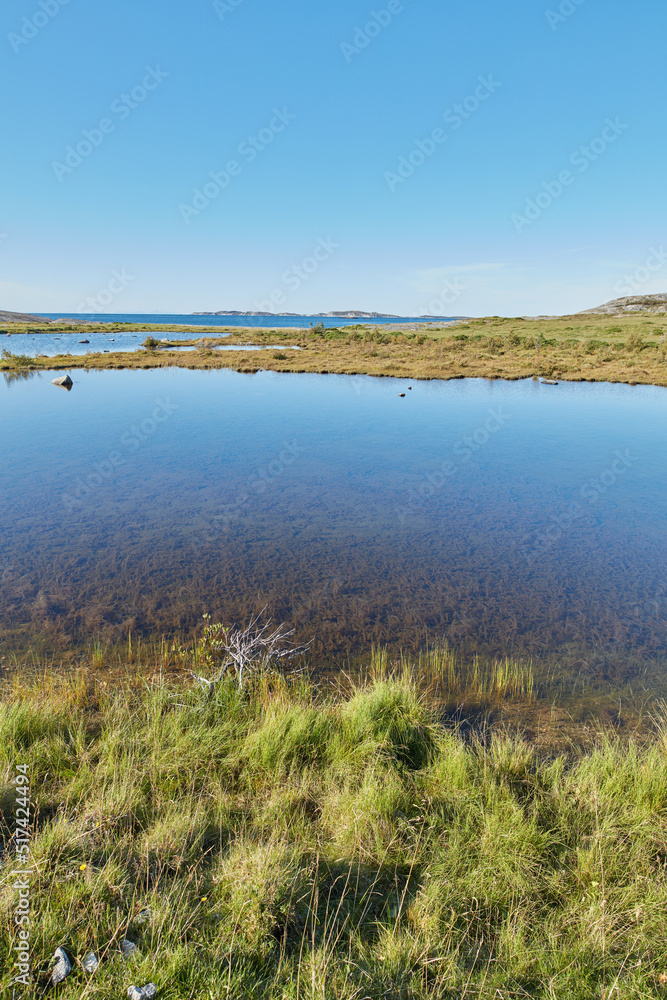 挪威一条河流流经沼泽并通向大海的风景。
